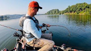 GIANT Flathead PANDEMONIUM