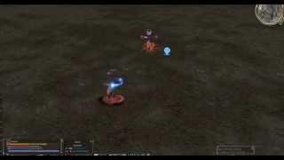 Lineage II Ikaros - Fringe