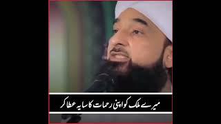 New Bayan Peer Muhammad Raza Saqib Mustafai New Best Whatsapp Islamic Status #shortvideo #vural