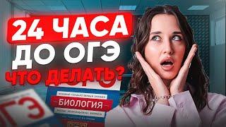 Завтра ОГЭ по биологии, что делать? 24 часа до ОГЭ, как все выучить и повторить / Лайфхаки и советы