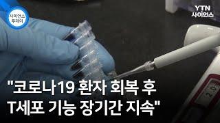"코로나19 환자 회복 후 T세포 기능 장기간 지속" / YTN 사이언스