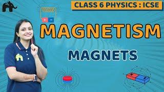 Magnetism Class 6 ICSE Physics | Selina Chapter 6 | Magnets