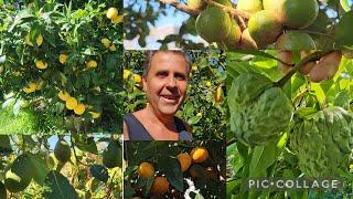 End of Winter Abundance From Australia's COLDEST Mainland Capital