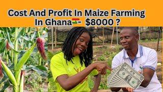 How to invest about $5000 in maize farming and make about $8000 profit in Ghana| cost and profit