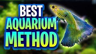 The Best Aquarium Method For Your First Planted Tank! (3 Planted Aquarium Methods Explained)