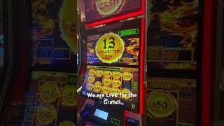 Grand jackpot win at Venetian! #slot #slotmachine #casino