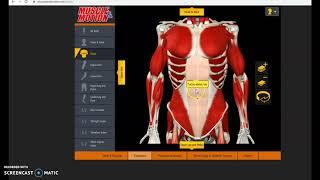 HOW TO USE THE MUSCLE AND MOTION WEBSITE