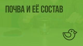 Почва и её состав. Видеоурок по окружающему миру 3  класс