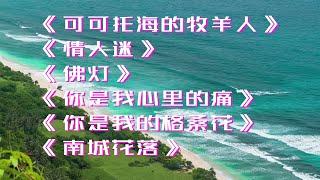 王琪傷感歌曲 ||《可可託海的牧羊人》《情人迷》《佛燈》《你是我心裡的痛》《你是我的格桑花》《南城花落》