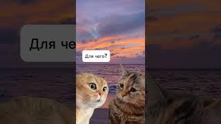 Ты к коучу ходишь?) #коучинг #лайфкоуч #лайфкоучинг #коучонлайн #коуч