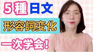 【5種日文形容詞變形｜保存版】變形規則&常用句型介紹｜零基礎日語文法