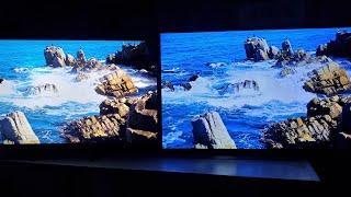 LG CX OLED VS SONY X950 LED 4K HDR DARK ROOM DEMO SPEARS AND MUNSIL (VALUE ELECTRONICS)