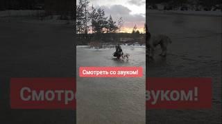 А вы так попадали? #зимняярыбалка #рыбалка #рыбалкавидео #щуказимой #fishing #рыбалказимой