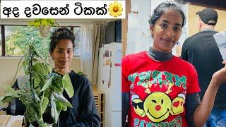 New zealand ear piercings bad experience එකකුස්සිය paint කලා