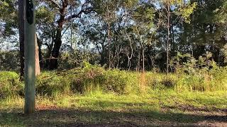 SOLD 12 Deenya Parade, Russell Island For Sale with Kat Gawlik $89,000