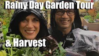 Rainy Day Garden Tour & Harvest