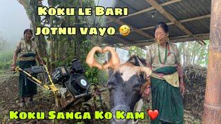 Aaj koku Sanga Ramailo vayo  || Koku le tractor jotnu vayo  @BIBEKRAIVLOGS