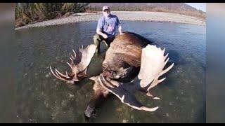 2024 Alaskan Moose Fly-In Float Trip / Gigantic Bull -11 Brow Tines with Kent Kaiser