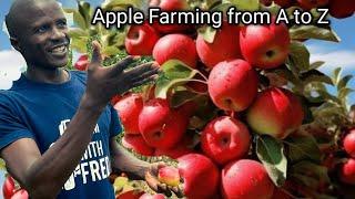 Apple Farming. Apple Variety Selection,Planting to Harvesting & how to get fruits in a short period