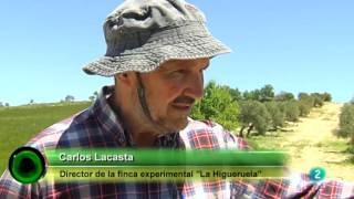 Agrosfera - RTVE - Crops for better Soil