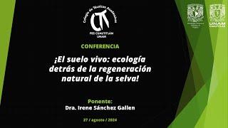 ¡El suelo vivo: ecología detrás de la regeneración natural de la selva!