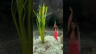 Dancing with Seahorses to Ginuwine’s “Pony” | Creative Cage Dance!