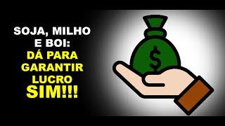 SOJA, MILHO E BOI: DÁ PARA GARANTIR LUCRO SIM!!!