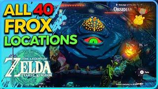 All 40 Frox Locations Zelda Tears of the Kingdom