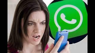 Детализация Whatsapp   что она содержит?