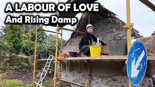 Fixing Rising Damp & 200 Year Old Stone Building Repairs: Our Derelict Farmhouse in Ireland