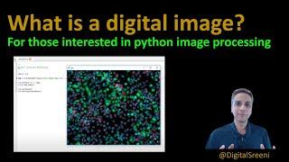 04 - What is a digital image?