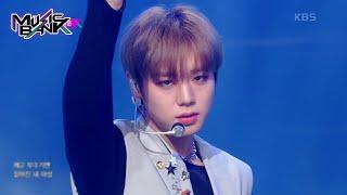 Blank Effect - PARK JIHOON [Music Bank] | KBS WORLD TV 230421