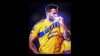 Nadie quiere que llegue ese día #libresylokos #tigres #uanltigres #gignac