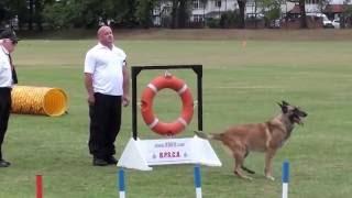 British Police and Services Canine Association Service Dog of the Year 2015 with Blade