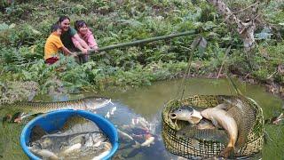 how to weave bamboo fishing net, daily life on the farm, SURVIVAL ALONE