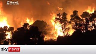 Spain: Firefighters battle first major wildfire of the year