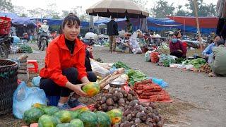 Ana's harvests papaya and taro to sell at the market to get money to buy ducklings.