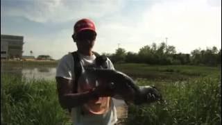 Snakehead Fishing-Camp Humphreys, South Korea