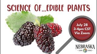 Science of...Edible Plants