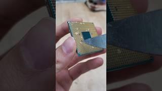 the bread CPU has returned home