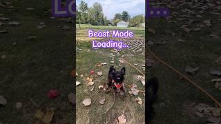 What Happens When Mija Hits Max Beast Mode?!!