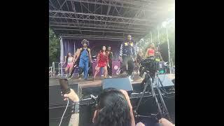 Spike Lee presents BK Loves MJ  & Prince Celebration in Fort Greene  Park.