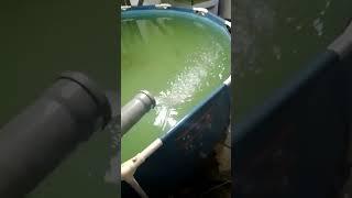 УЗВ - мини ферма