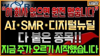 [우리기술]"MMIS 독점에서 AI·SMR까지! 우리기술, 원전株의 새로운 판을 열다"