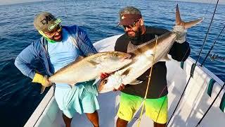 AMBER JACK FISHING DUBAI