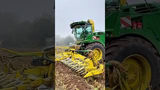 John Deere 9900i Forage Harvester on Maize for a Dairy