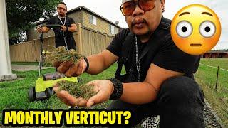 Monthly Verticutting? This guy is crazy... CRAZY AWESOME!  Why I dethatch every month... results 