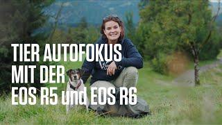 Canon Academy Hack: EOS R5 und EOS R6: Der Augen-AF für Tiere