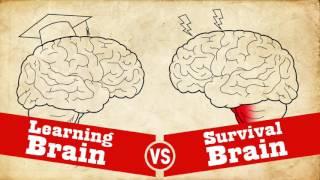 Understanding Trauma: Learning Brain vs Survival Brain