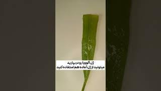 #طب #داروهای_گیاهی #گیاهی #آموزش #ماسک_صورت #ماسک_خانگی